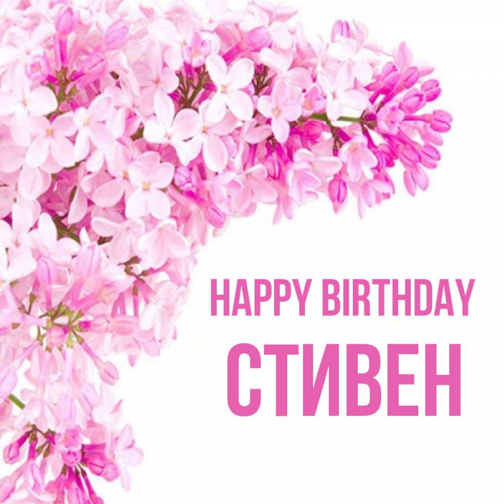 Greetings card с именем, Стивен Happy Birthday Сирень на белом фоне Greetings with text for free download 
