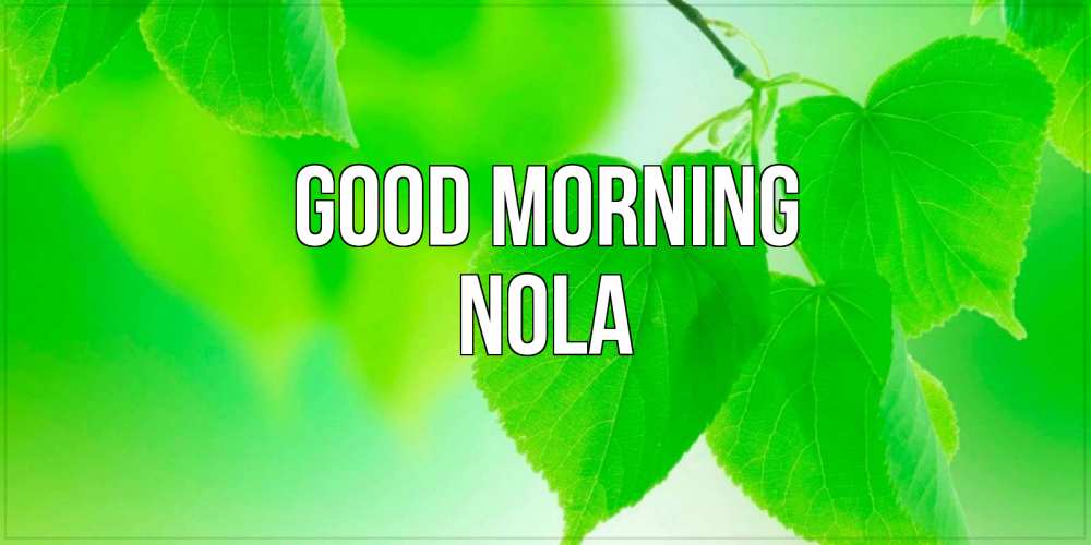 Greetings card с именем, Nola Good morning доброе утро с березовыми листьями Greetings with text for free download 