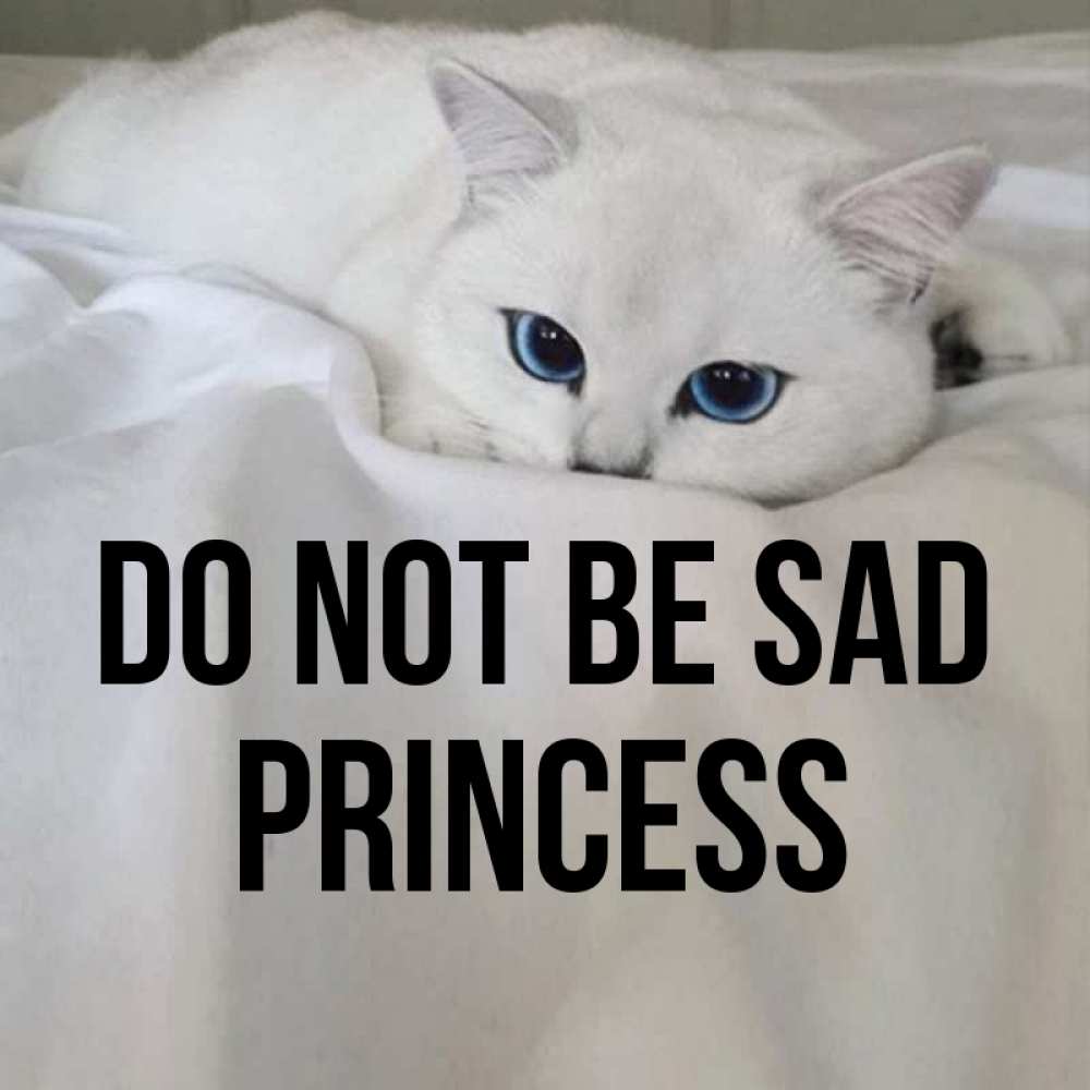 Greetings card с именем, Princess Do not be sad Голубоглазая кошка Greetings with text for free download 