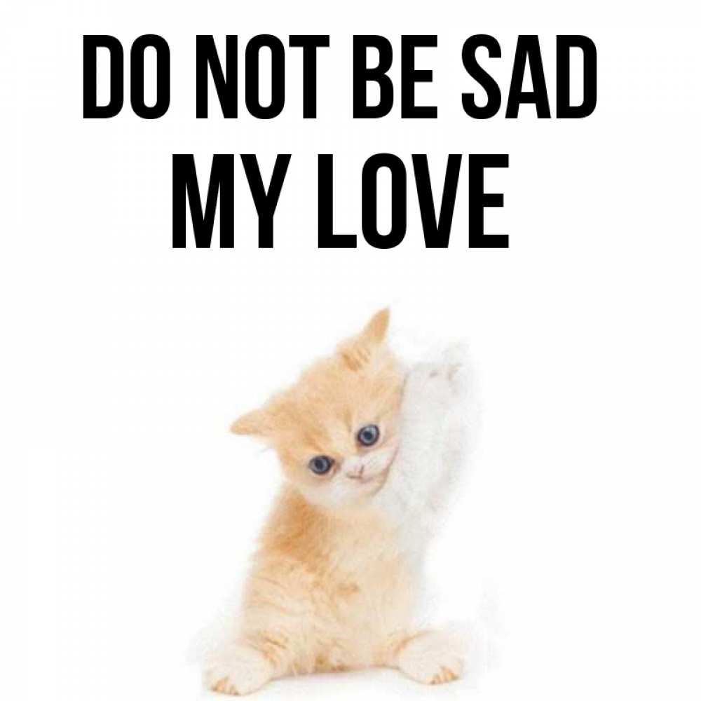 Greetings card с именем, my-love Do not be sad просящий кот Greetings with text for free download 