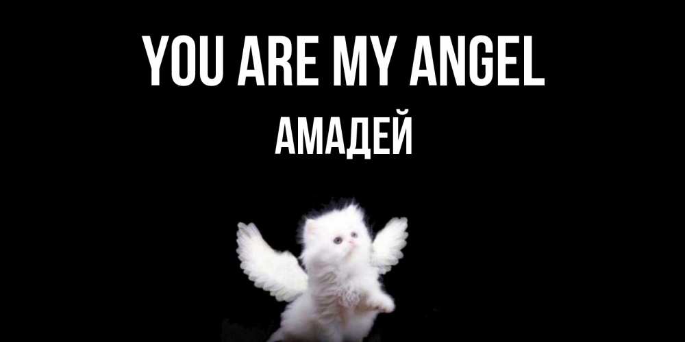 Greetings card с именем, Амадей You are my angel Кот ангел Greetings with text for free download 