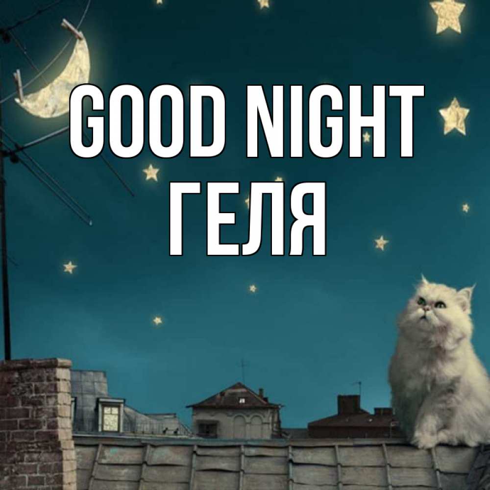Greetings card с именем, Геля Good night белый кот сидит на крыше Greetings with text for free download 