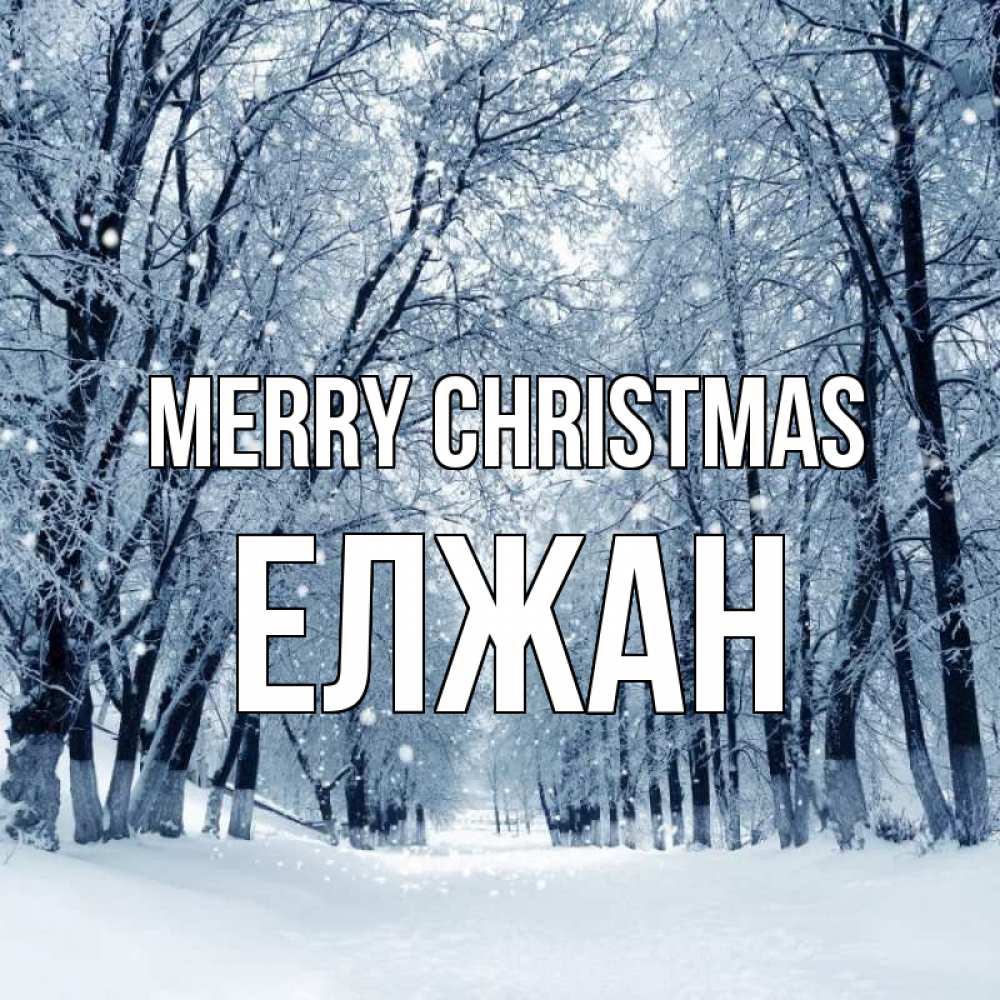 Greetings card с именем, Елжан Merry Christmas снег, лес, парк Greetings with text for free download 