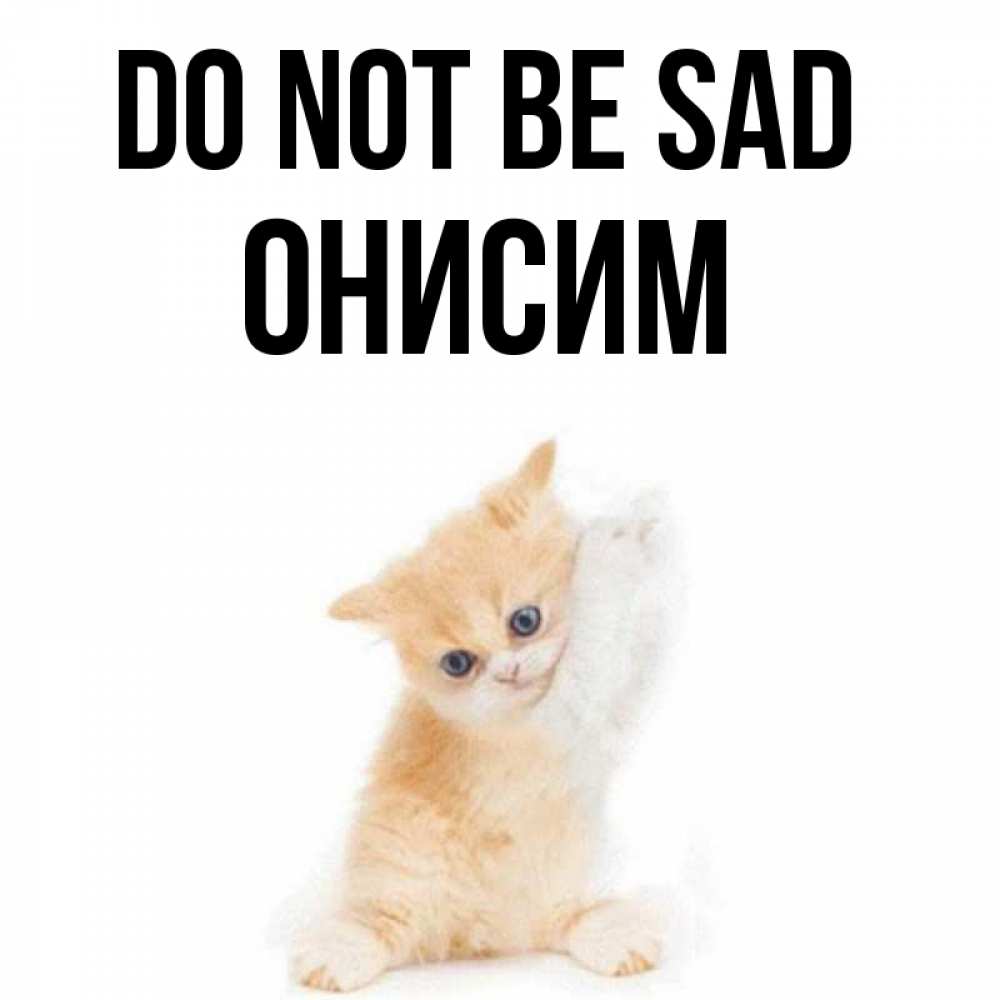 Greetings card с именем, Онисим Do not be sad просящий кот Greetings with text for free download 