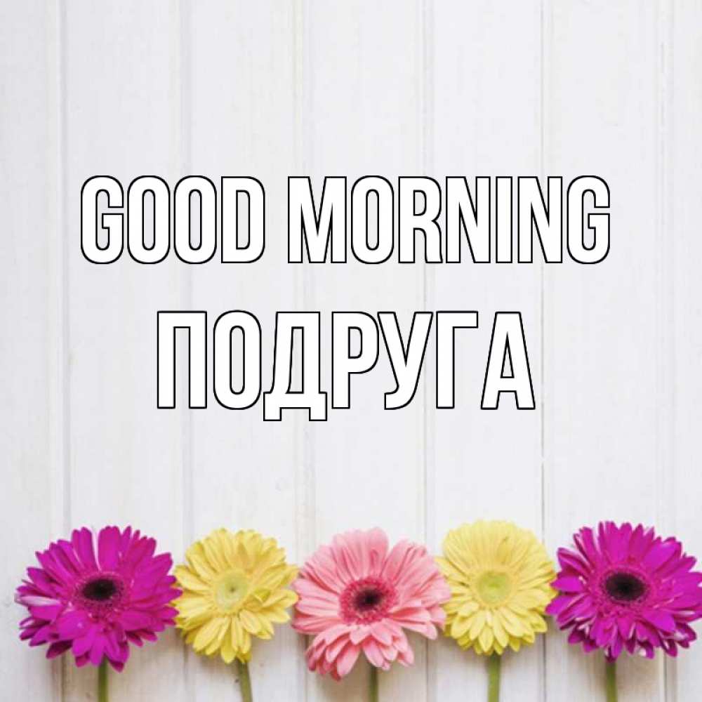 Greetings card с именем, Подруга Good morning красный желтый и розовый цветок Greetings with text for free download 