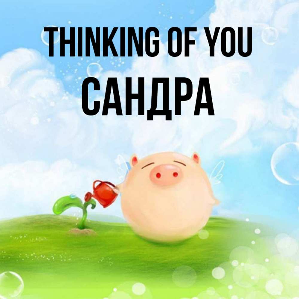 Greetings card с именем, Сандра Thinking of you позитивная свинюшка Greetings with text for free download 
