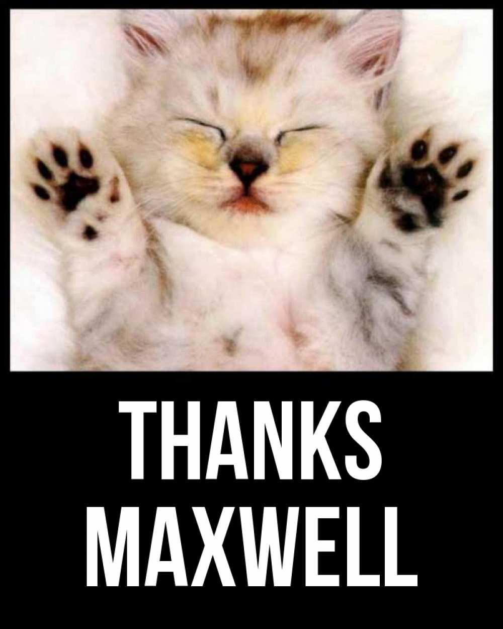 Greetings card с именем, Maxwell Thanks маленький котенок Greetings with text for free download 