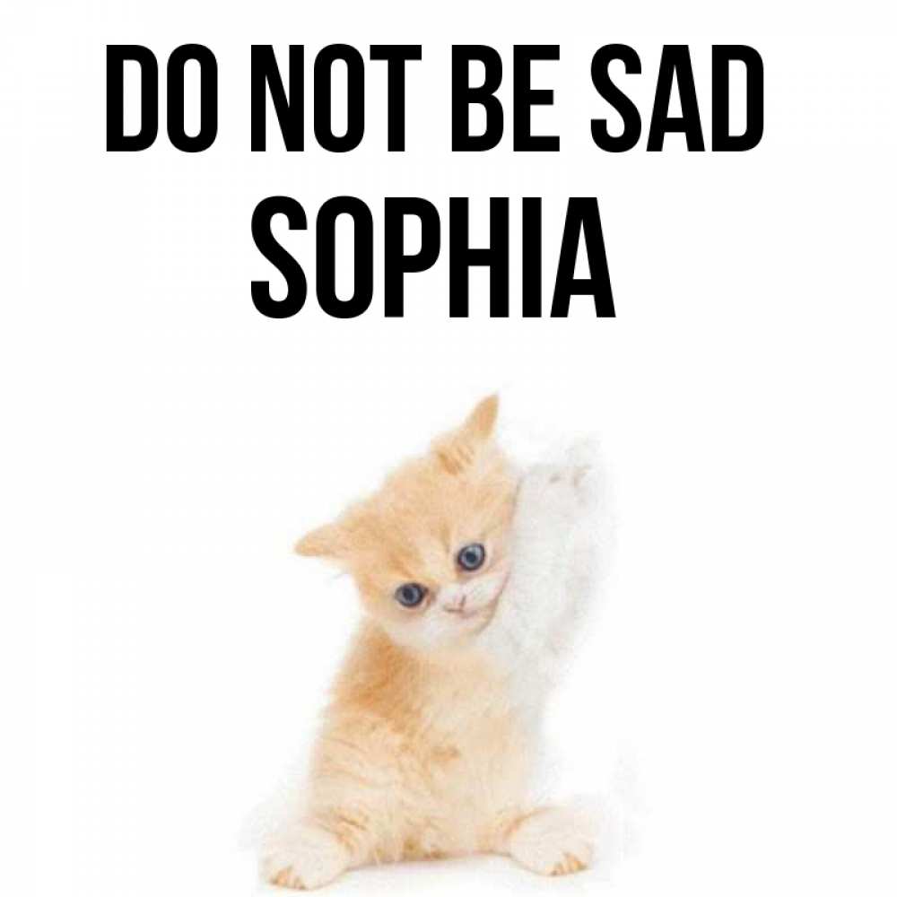 Greetings card с именем, Sophia Do not be sad просящий кот Greetings with text for free download 