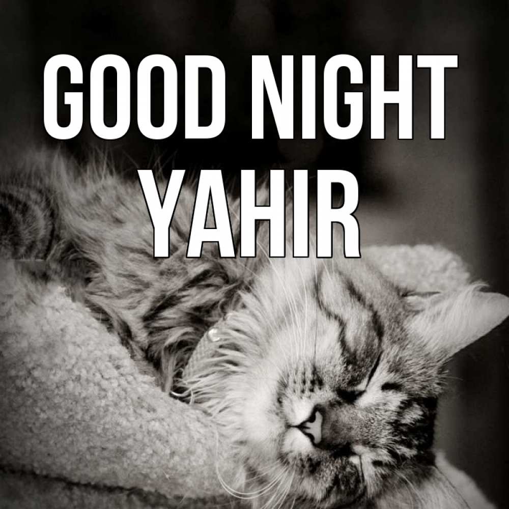 Greetings card с именем, Yahir Good night котярик пушистый Greetings with text for free download 