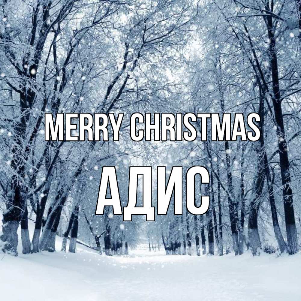 Greetings card с именем, Адис Merry Christmas снег, лес, парк Greetings with text for free download 