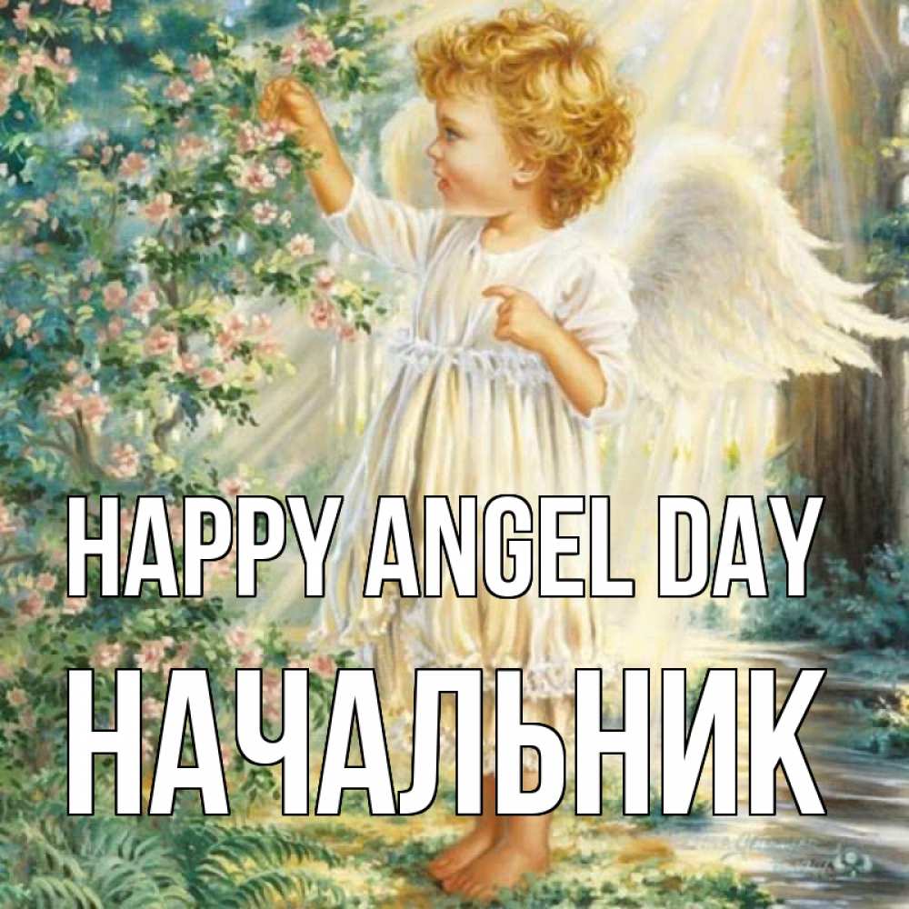 Greetings card с именем, Начальник happy angel day собирает цветы Greetings with text for free download 