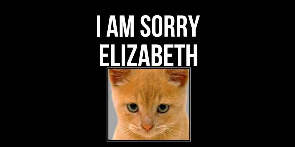 Greetings card с именем, Elizabeth I am sorry рыжий грустный кот просит прощения Greetings with text for free download 