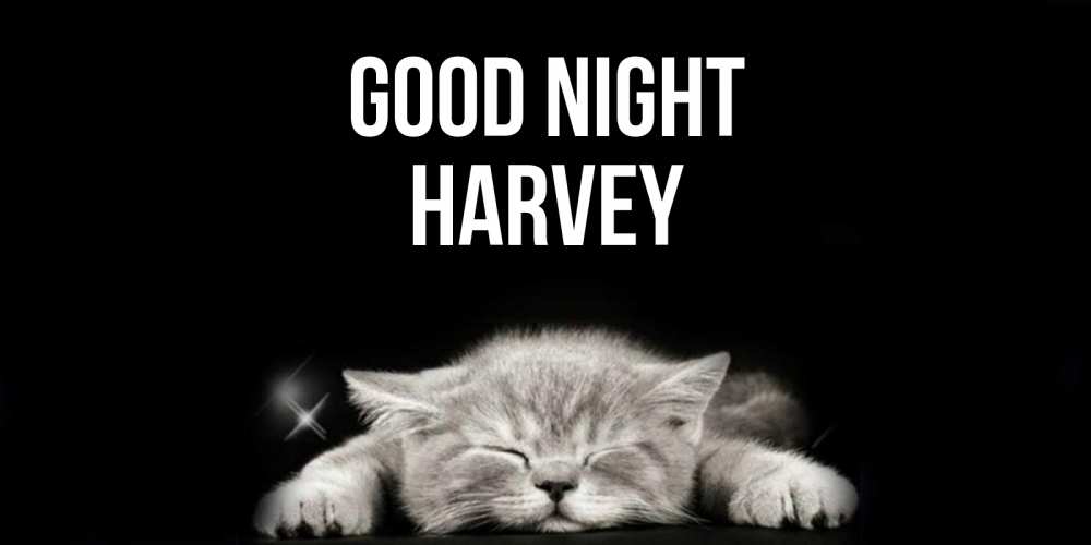 Greetings card с именем, Harvey Good night спящий котик Greetings with text for free download 