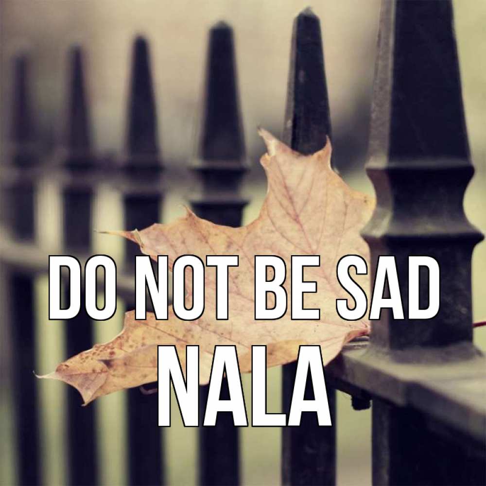 Greetings card с именем, Nala Do not be sad лист клена Greetings with text for free download 