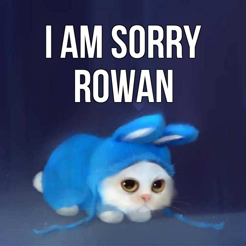 Greetings card с именем, Rowan I am sorry невинный котозай просит прощения Greetings with text for free download 