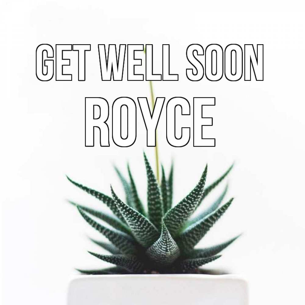 Greetings card с именем, Royce Get well soon короче это непонятная колючка Greetings with text for free download 