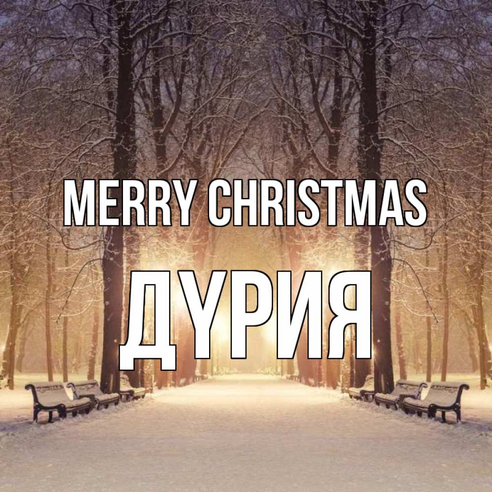 Greetings card с именем, ДҮРИЯ Merry Christmas зима, парк, фонарь, лес Greetings with text for free download 