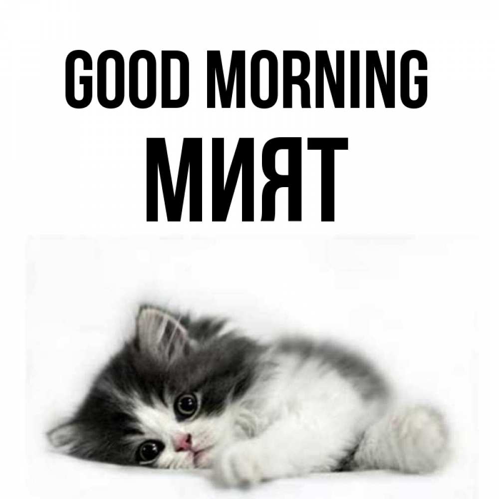 Greetings card с именем, МИЯТ Good morning кот лапки Greetings with text for free download 