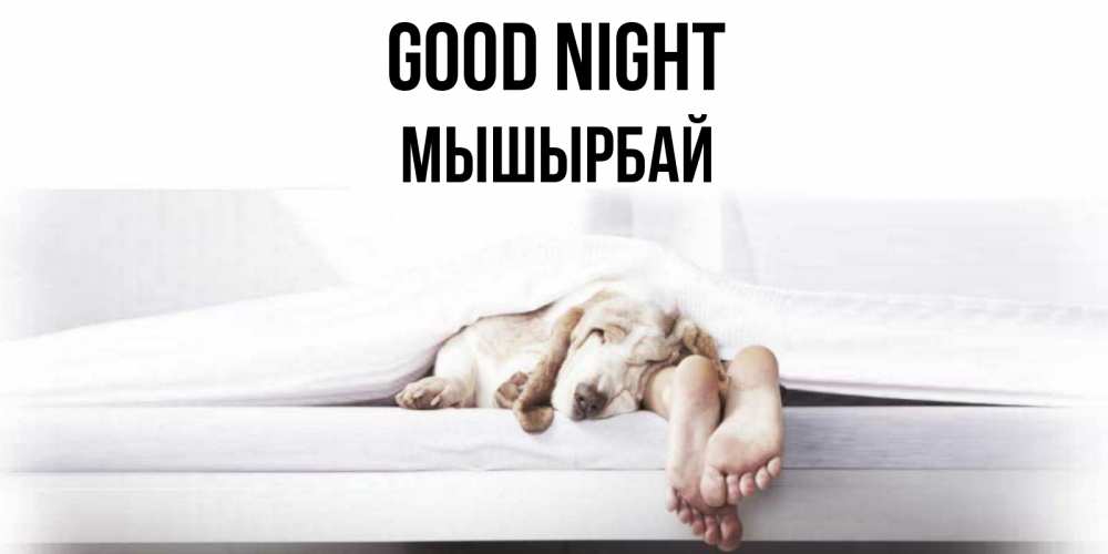Greetings card с именем, МЫШЫРБАЙ Good night кровать с собакой пожелание сладких снов и спокойной ночи Greetings with text for free download 