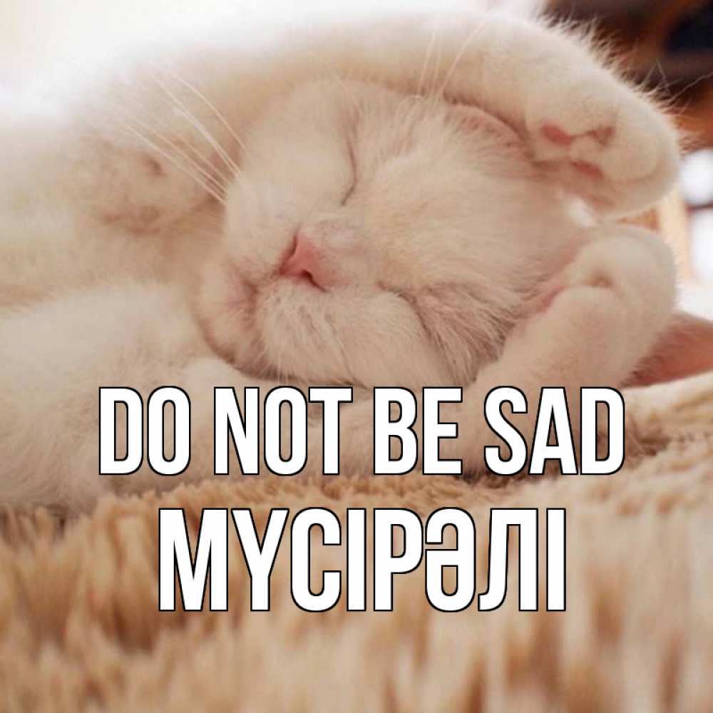 Greetings card с именем, МҮСІРӘЛІ Do not be sad белый кот Greetings with text for free download 