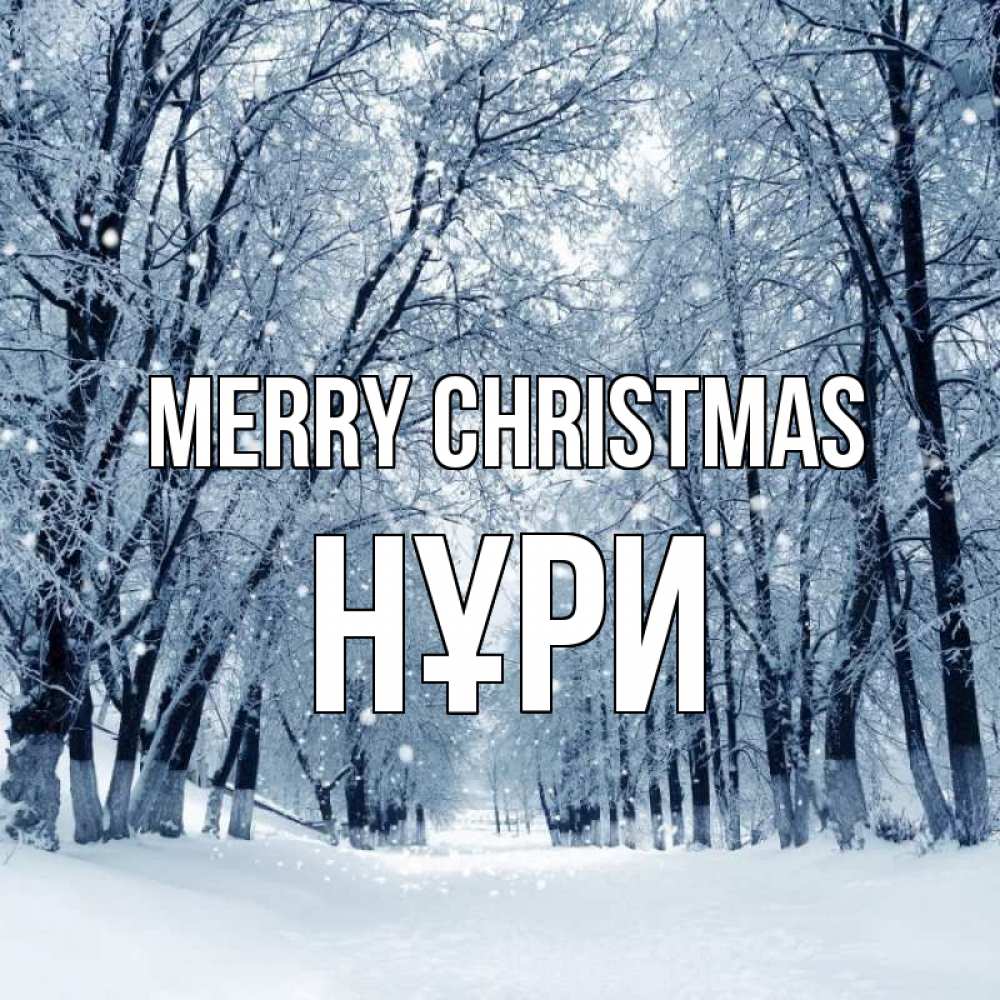 Greetings card с именем, НҰРИ Merry Christmas снег, лес, парк Greetings with text for free download 