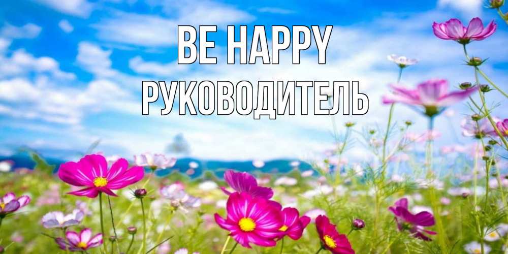 Greetings card с именем, Руководитель Be happy поле цветов Greetings with text for free download 