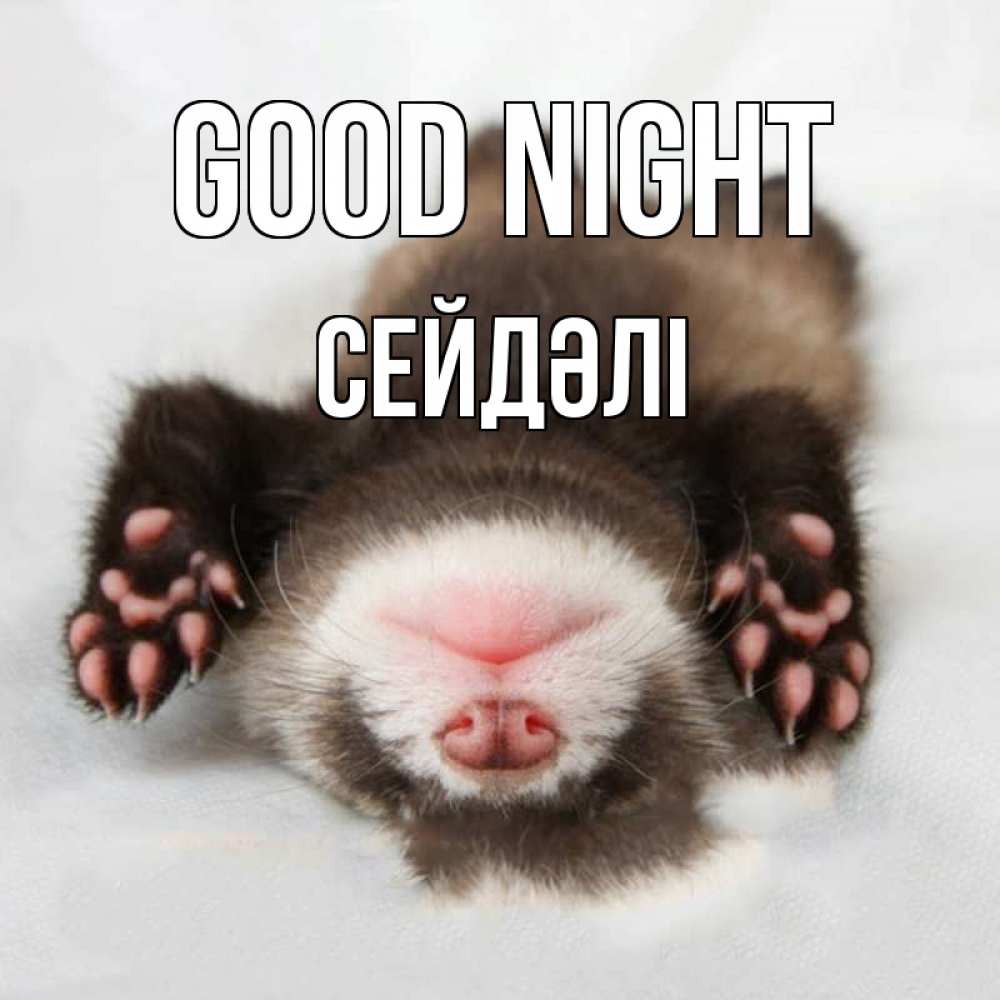 Greetings card с именем, СЕЙДӘЛІ Good night зверек Greetings with text for free download 