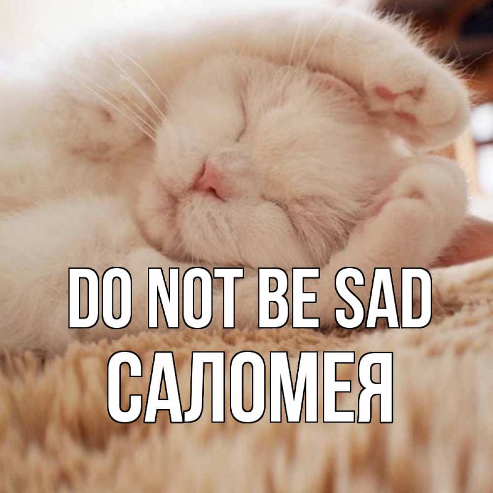 Greetings card с именем, Саломея Do not be sad белый кот Greetings with text for free download 