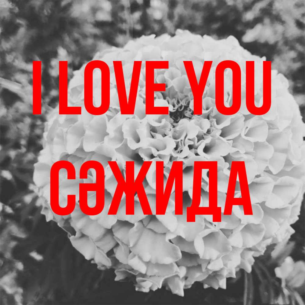 Greetings card с именем, СӘЖИДА I love you подпись Greetings with text for free download 