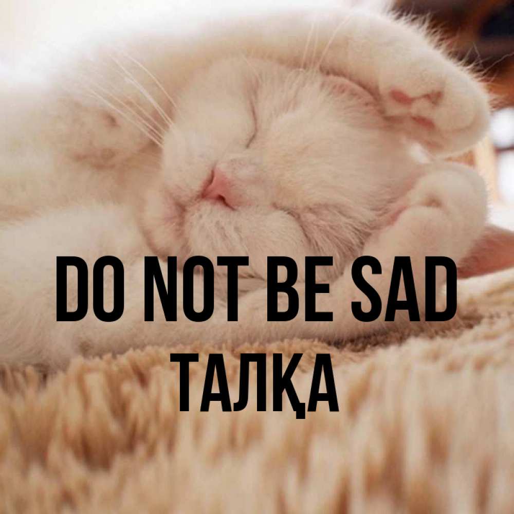 Greetings card с именем, ТАЛҚА Do not be sad Котенок спит Greetings with text for free download 