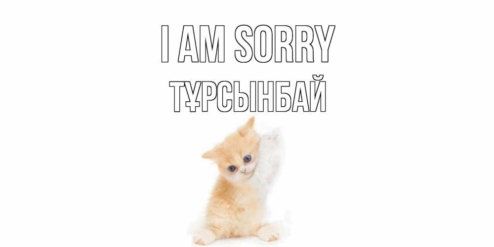 Greetings card с именем, ТҰРСЫНБАЙ I am sorry кот Greetings with text for free download 