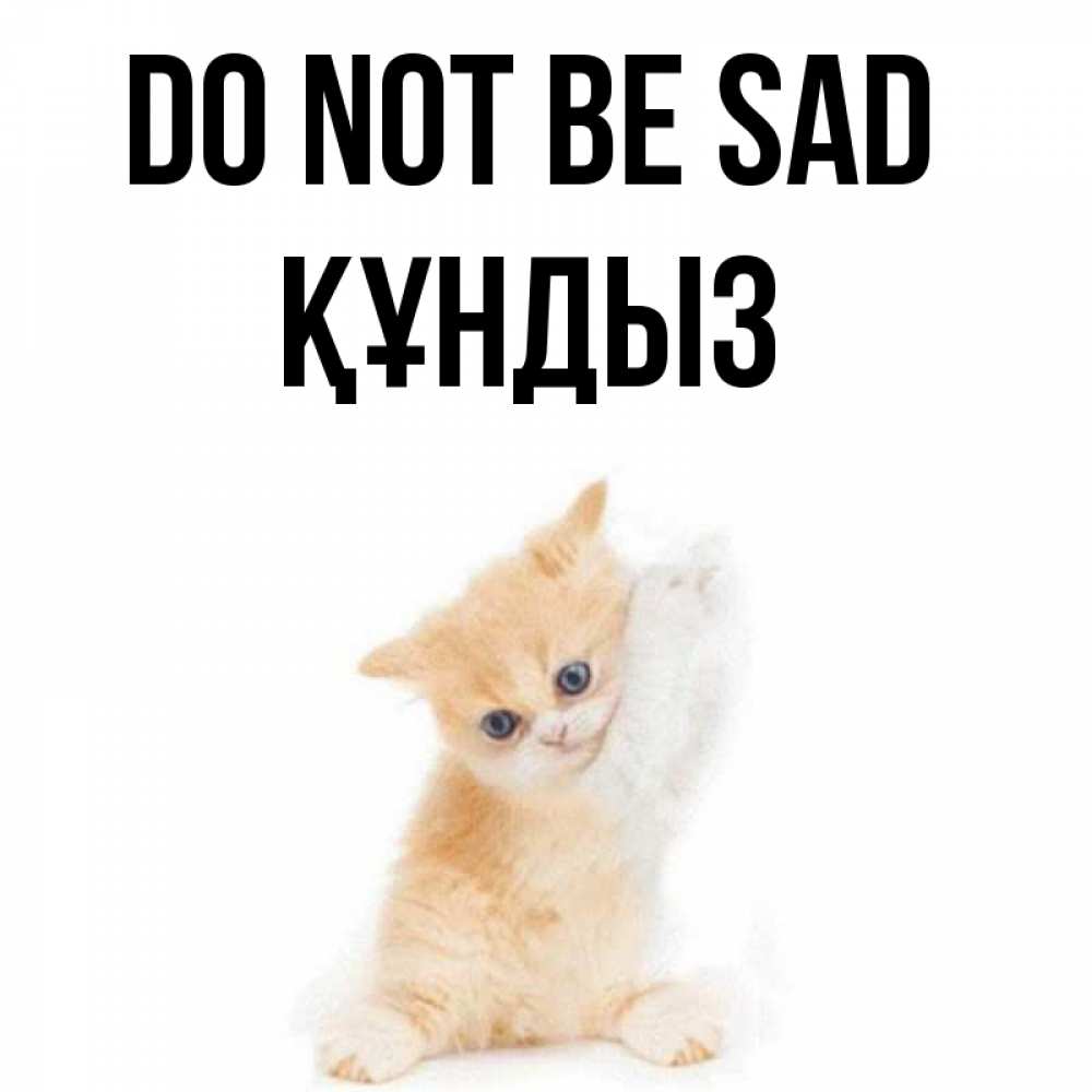 Greetings card с именем, ҚҰНДЫЗ Do not be sad просящий кот Greetings with text for free download 