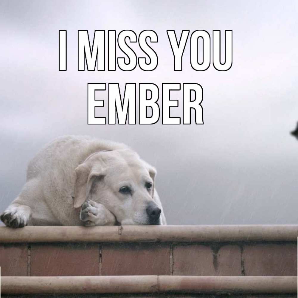 Greetings card с именем, Ember I miss you ждет Greetings with text for free download 