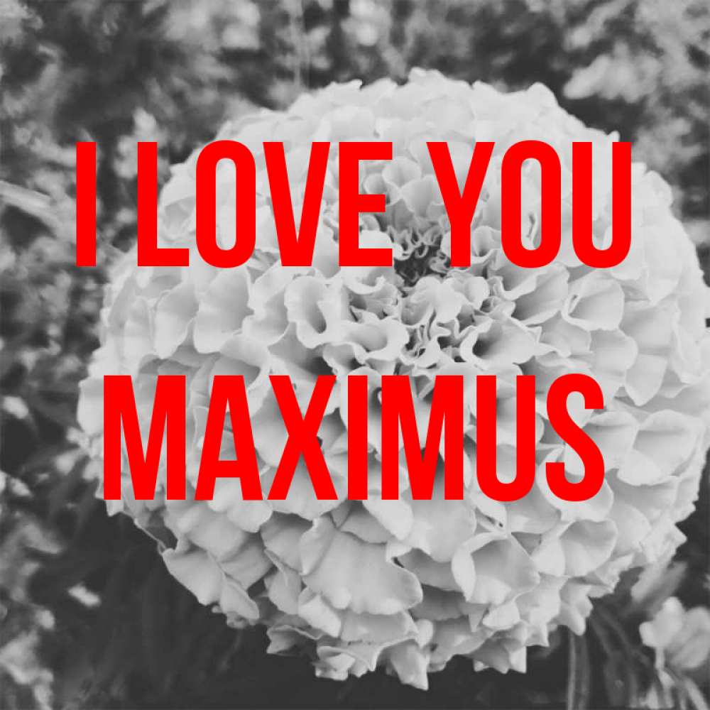 Greetings card с именем, Maximus I love you подпись Greetings with text for free download 