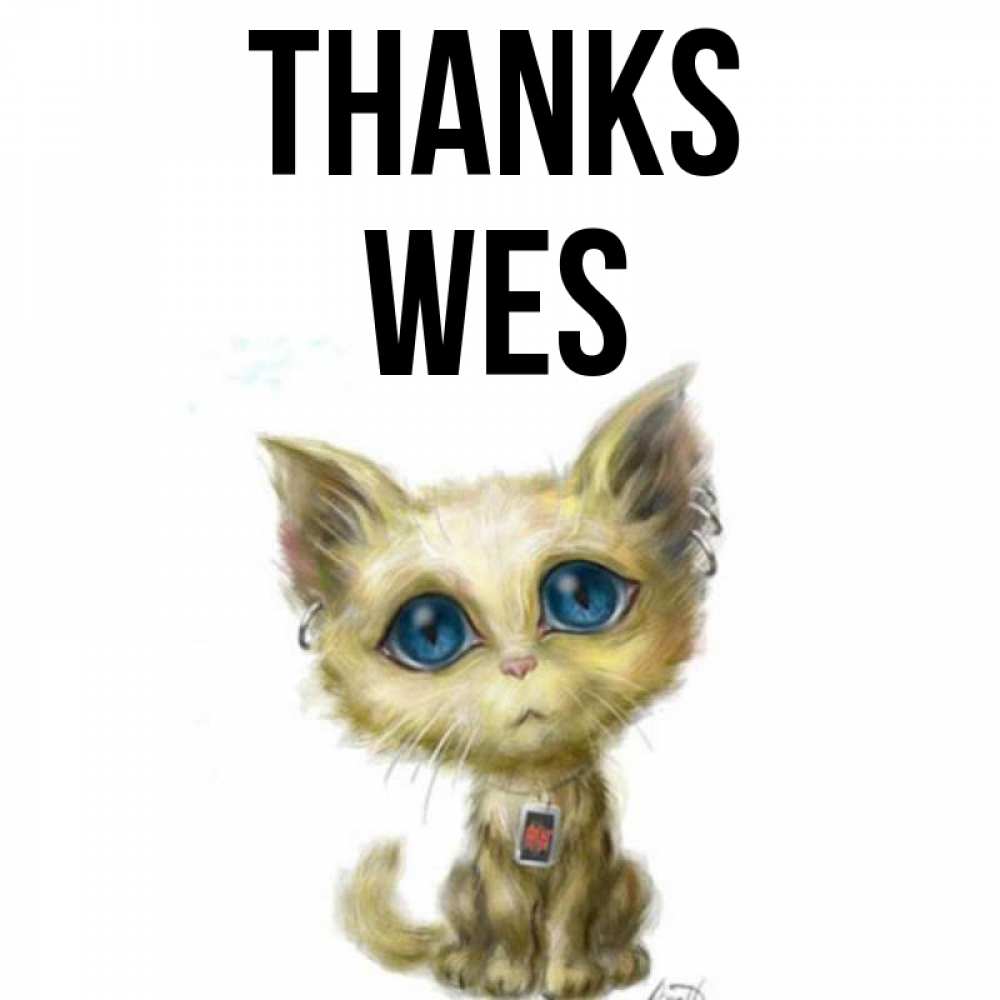 Greetings card с именем, Wes Thanks рисованный кот благодарит вас Greetings with text for free download 