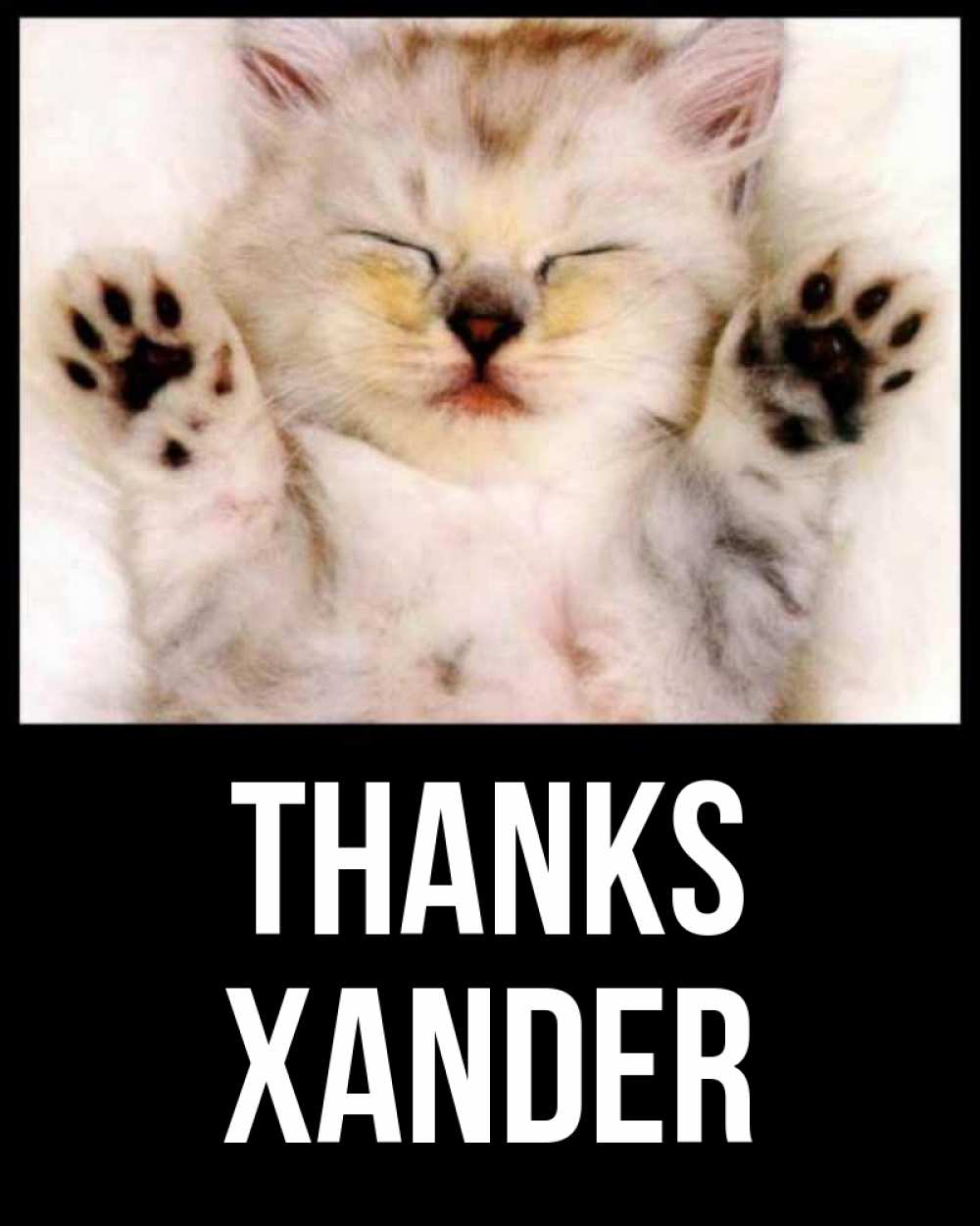 Greetings card с именем, Xander Thanks маленький котенок Greetings with text for free download 
