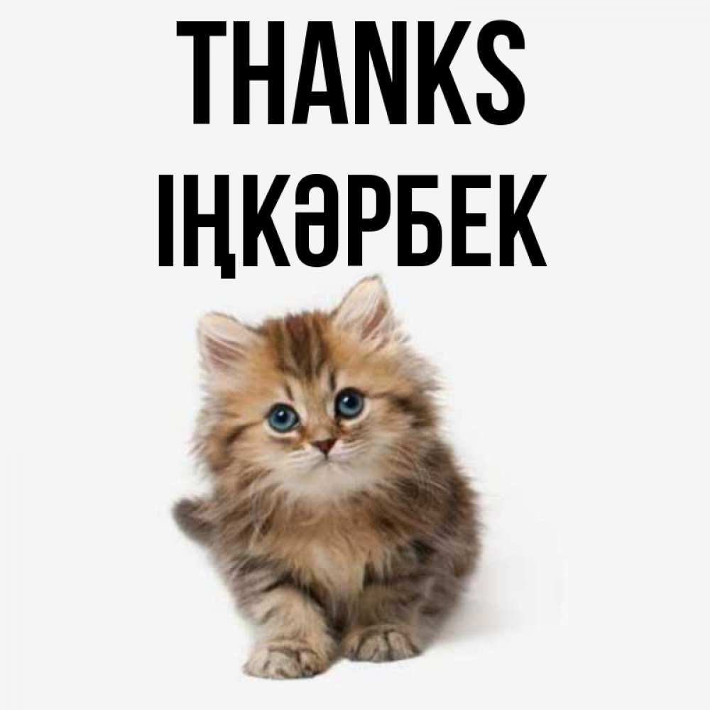 Greetings card с именем, ІҢКӘРБЕК Thanks пушистый котик Greetings with text for free download 