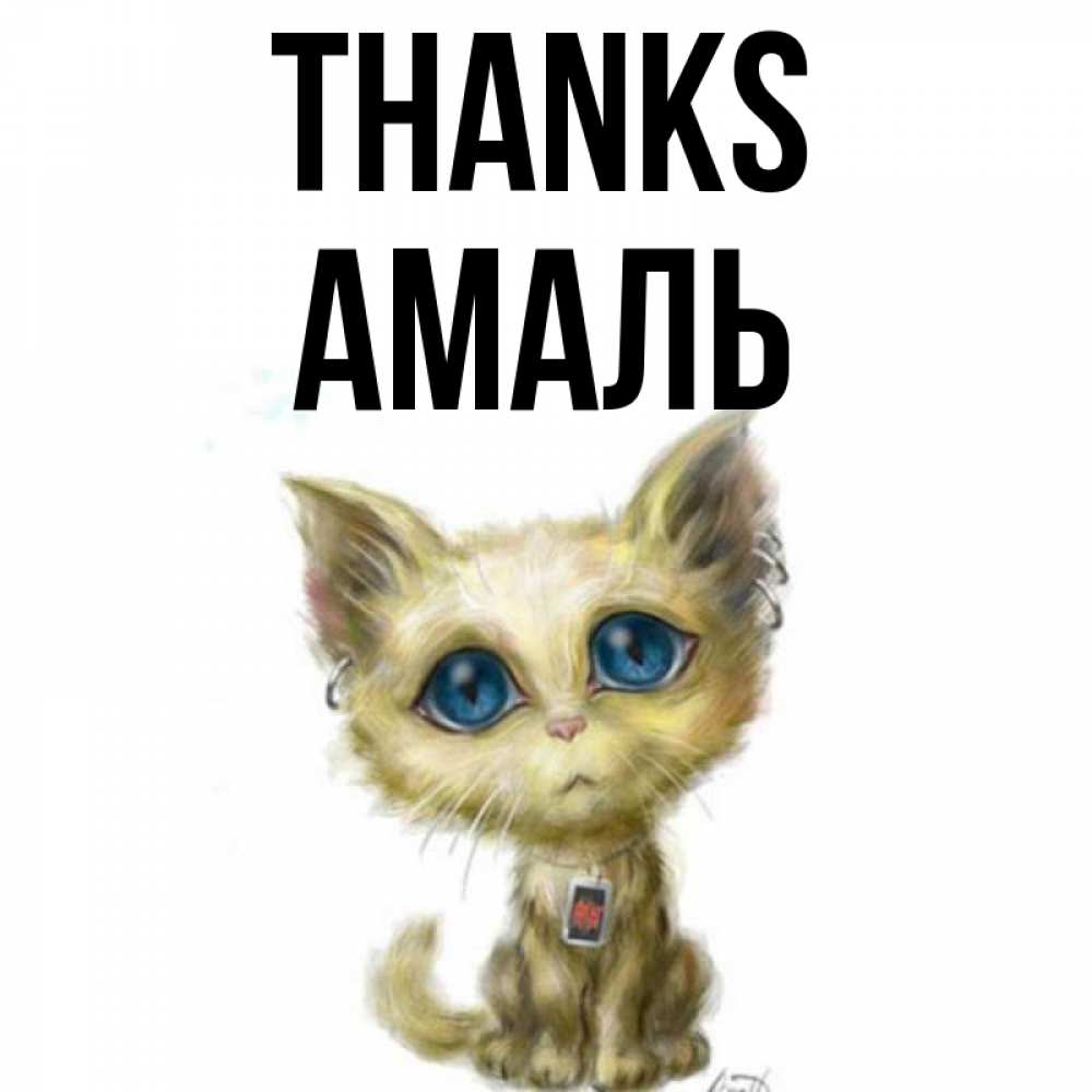 Greetings card с именем, Амаль Thanks рисованный кот благодарит вас Greetings with text for free download 