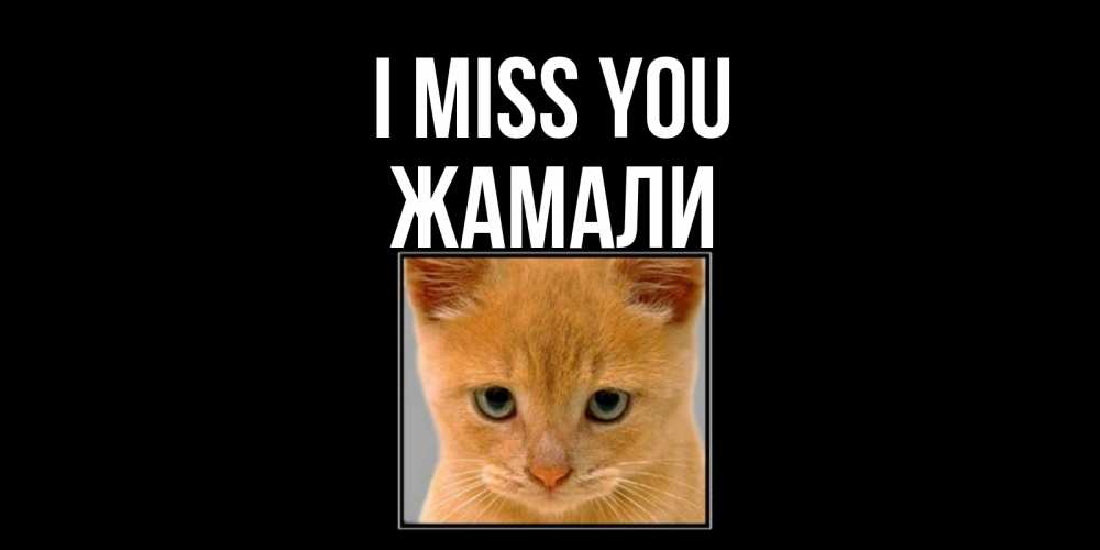 Greetings card с именем, ЖАМАЛИ I miss you открытки рыжий котенок скучает по тебе Greetings with text for free download 