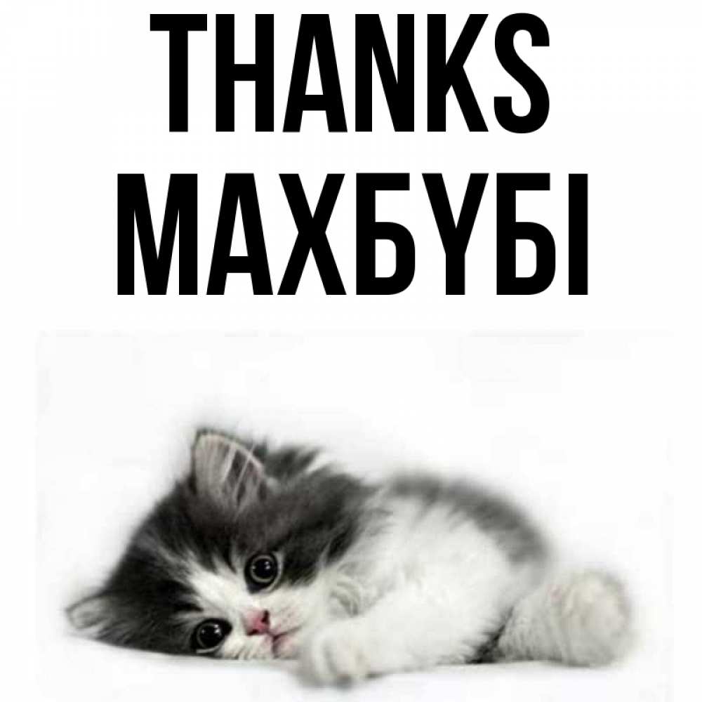 Greetings card с именем, МАХБҮБІ Thanks черный и белый кот Greetings with text for free download 