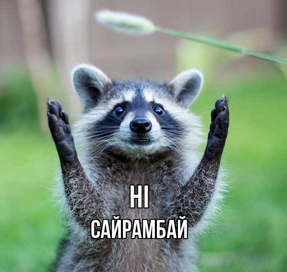 Greetings card с именем, САЙРАМБАЙ Hi животные Greetings with text for free download 