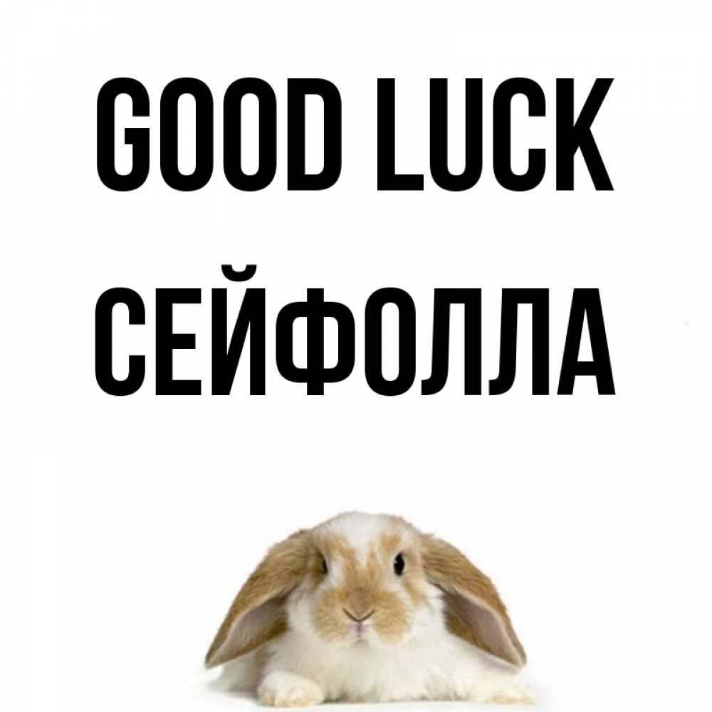 Greetings card с именем, СЕЙФОЛЛА Good luck открытки с произвольным текстом который можно вставить в открытку и создать ее самостоятельно бесплатно онлайн Greetings with text for free download 