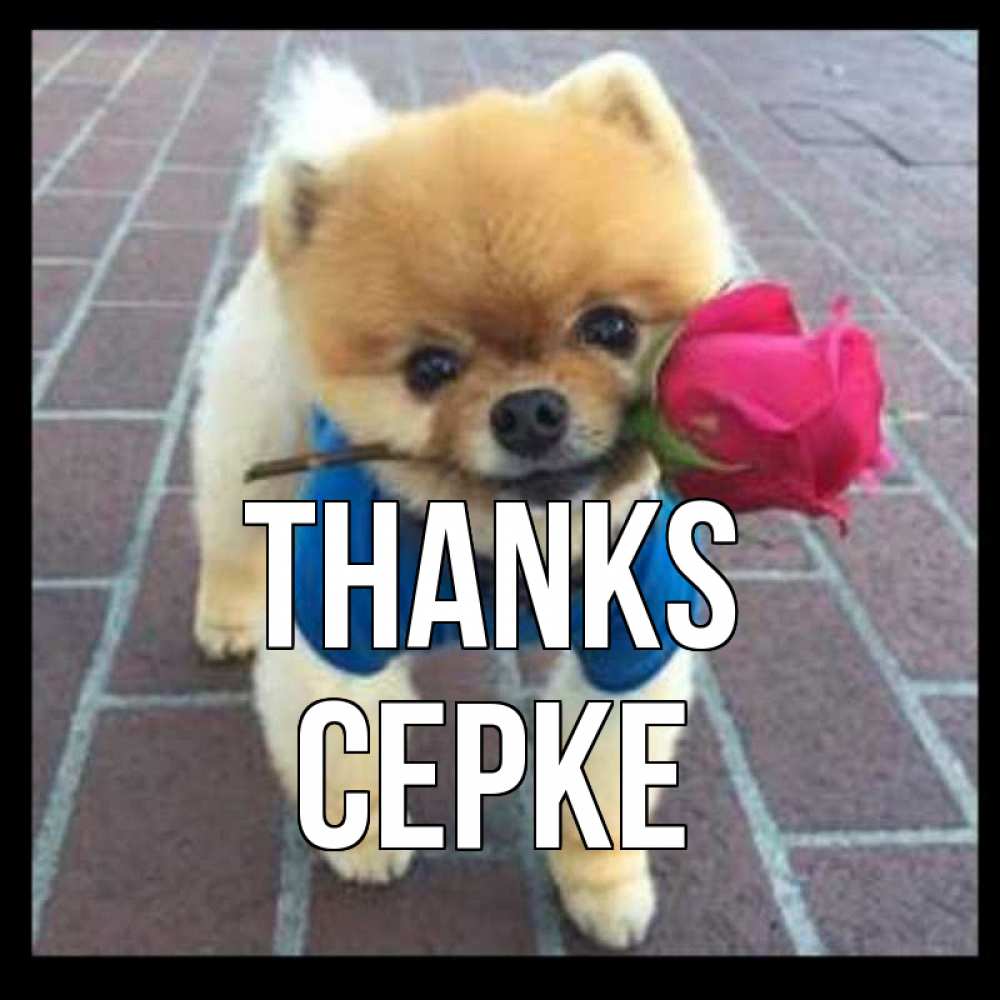 Greetings card с именем, СЕРКЕ Thanks спасибо и дарю тебе цветок Greetings with text for free download 