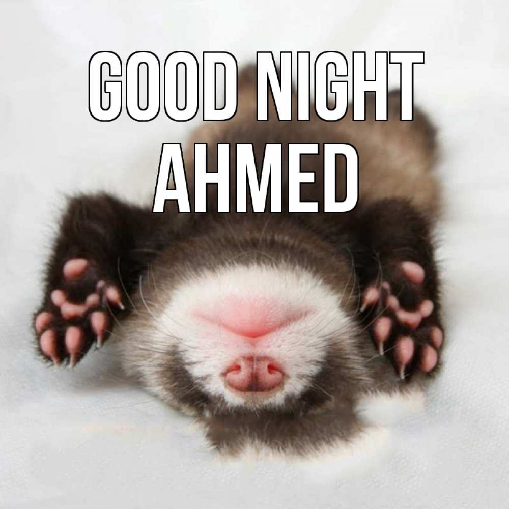Greetings card с именем, Ahmed Good night зверек Greetings with text for free download 