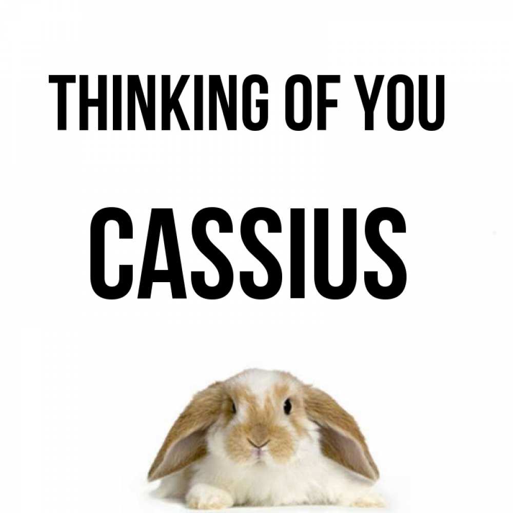 Greetings card с именем, Cassius Thinking of you подписать своими руками онлайн Greetings with text for free download 