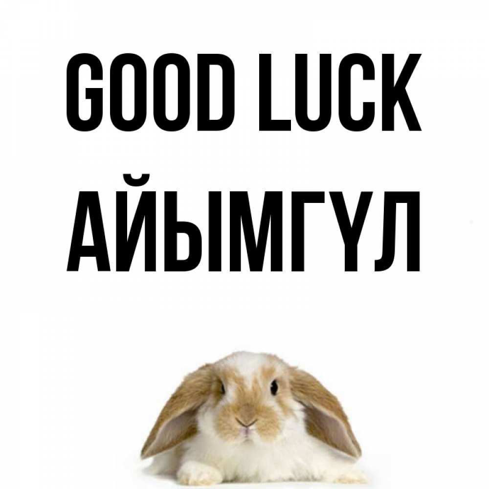 Greetings card с именем, АЙЫМГҮЛ Good luck открытки с произвольным текстом который можно вставить в открытку и создать ее самостоятельно бесплатно онлайн Greetings with text for free download 