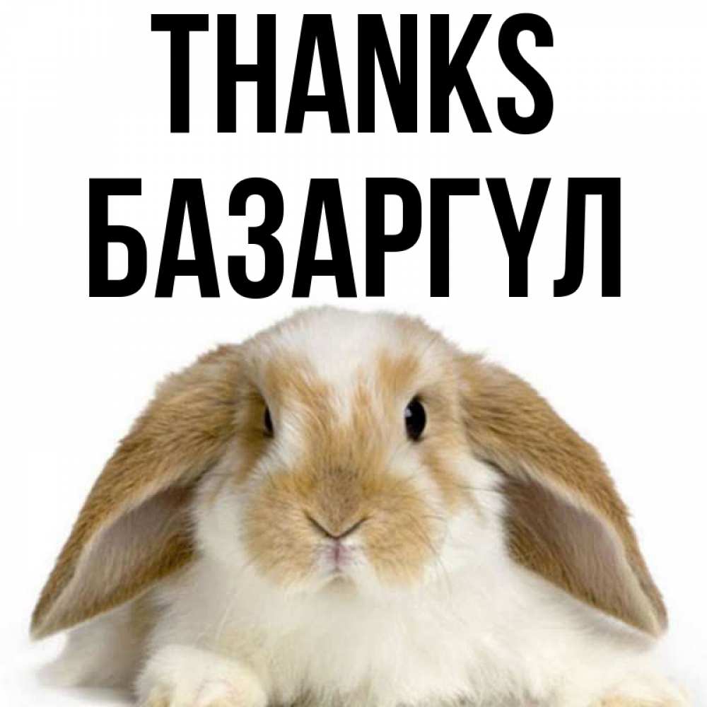 Greetings card с именем, БАЗАРГҮЛ Thanks коричнево белый заяц Greetings with text for free download 