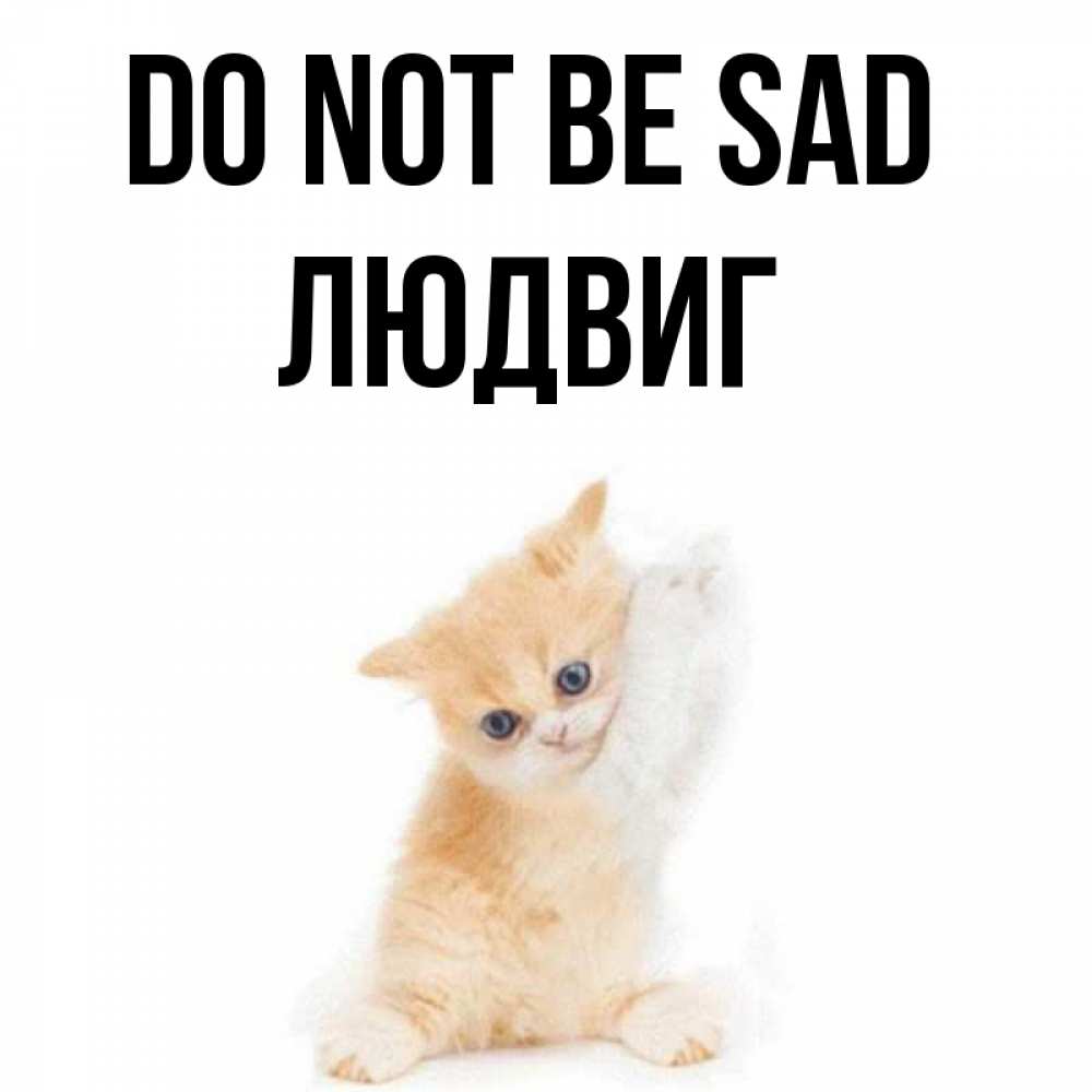 Greetings card с именем, Людвиг Do not be sad просящий кот Greetings with text for free download 