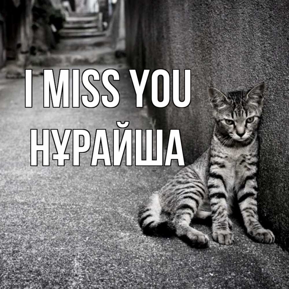 Greetings card с именем, НҰРАЙША I miss you одиноко котику Greetings with text for free download 