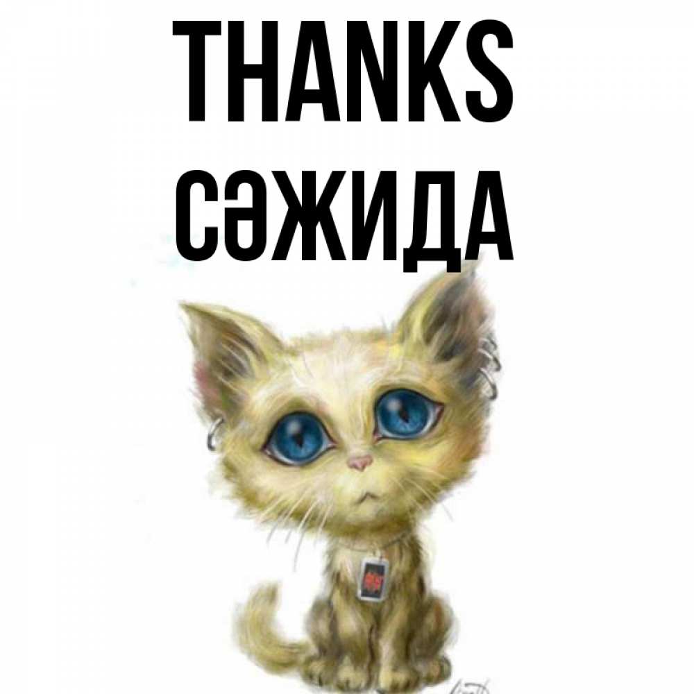 Greetings card с именем, СӘЖИДА Thanks рисованный кот благодарит вас Greetings with text for free download 